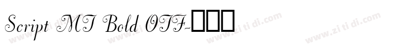Script MT Bold OTF字体转换
